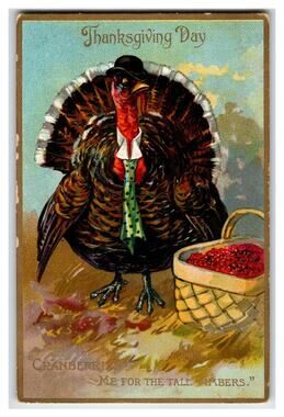 Raphael Tuck Thanksgiving Dressed Turkey Comic Postcard Series 162 Embossed
